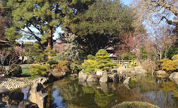 Destination San Mateo Japanese Tea Garden At Bay Meadows San Mateo