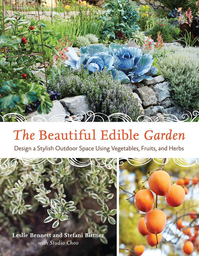 image credit: Star Apple Edible Gardens