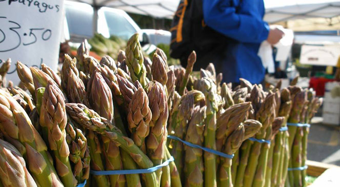 What’s Fresh at the College of San Mateo Farmers Market? at Bay Meadows ...