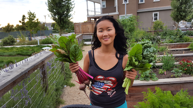 Celine's daughter harvesting veggies from Persimmon Park.
