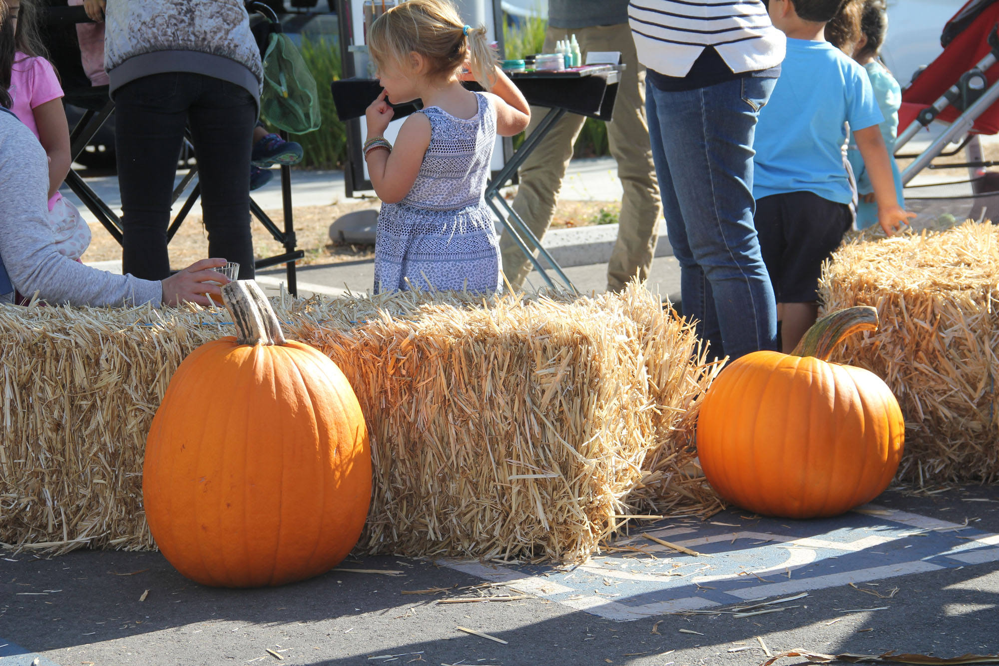 Create a Community Event: Halloween at Bay Meadows: San Mateo