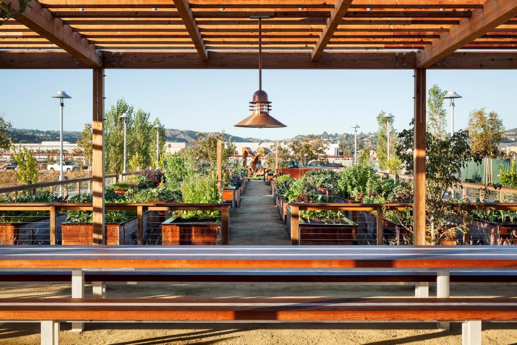 Persimmon Park San Mateo