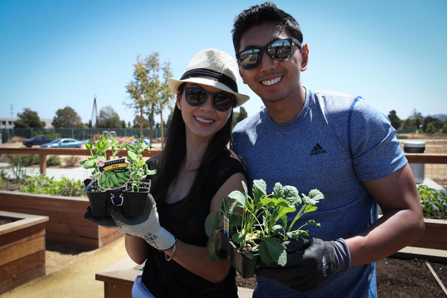 Persimmon Park San Mateo 