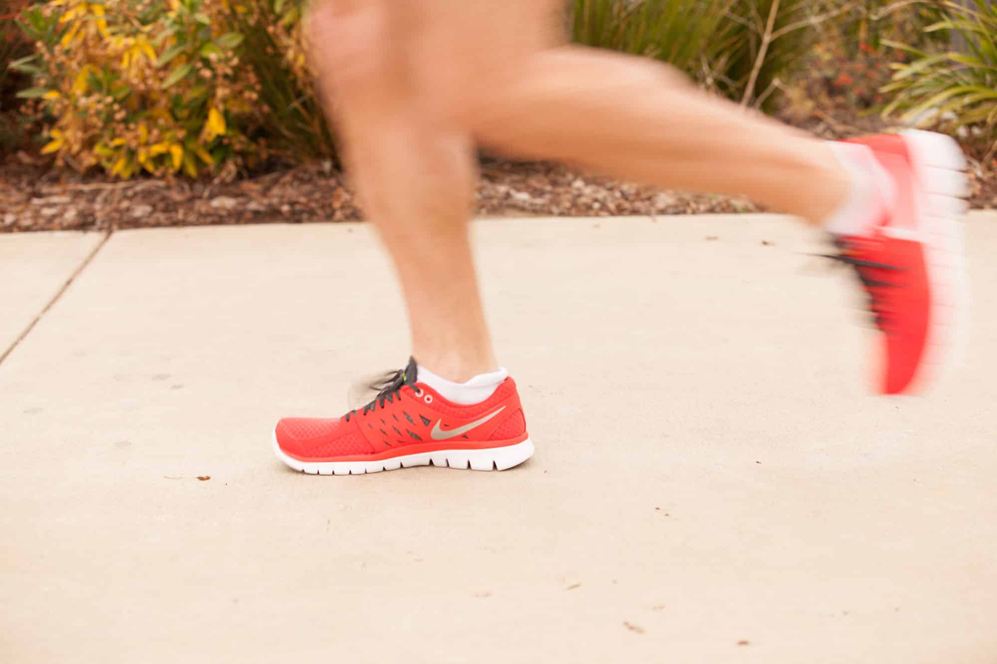 Run Bay Meadows San Mateo