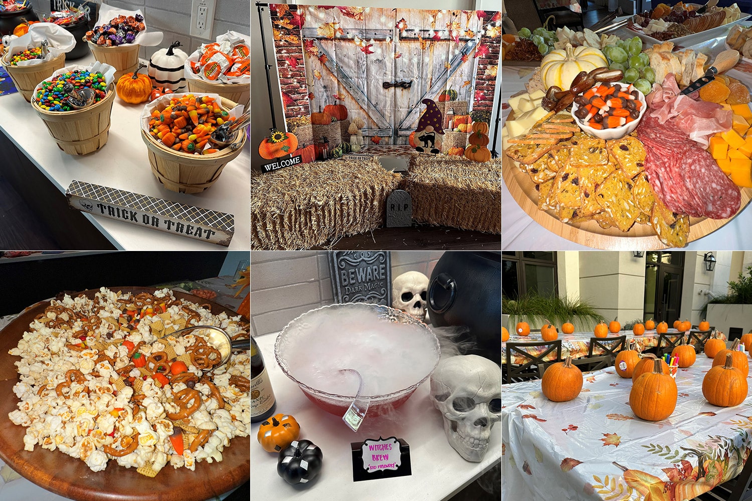 Fall Harvest at Bay Meadows