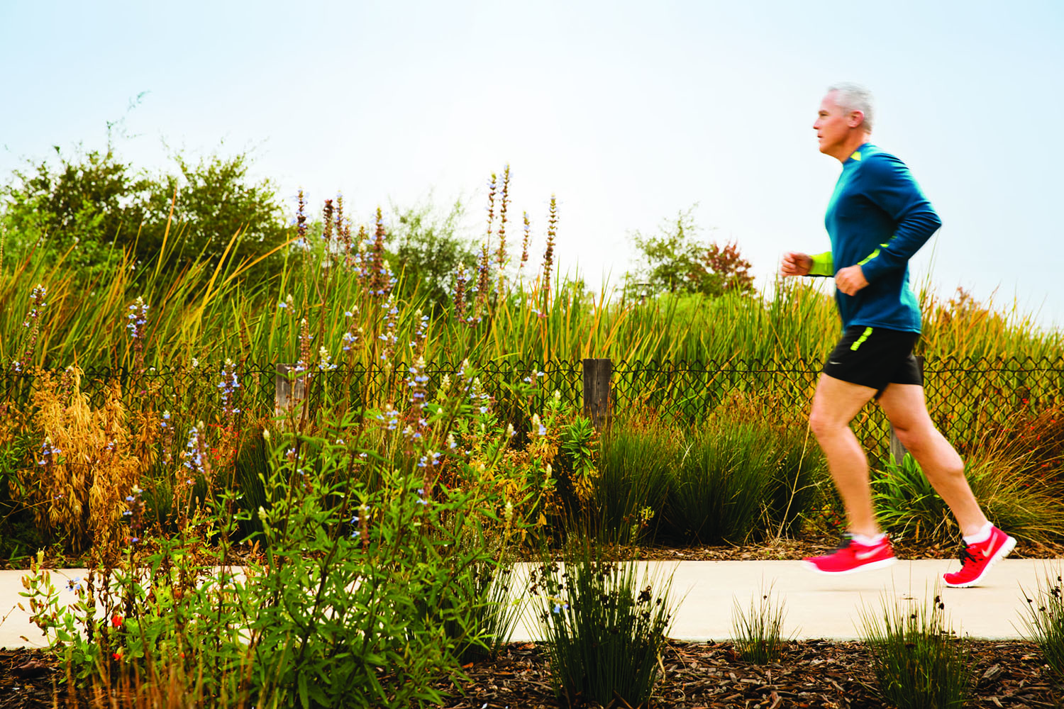 Bay Meadows January Agenda